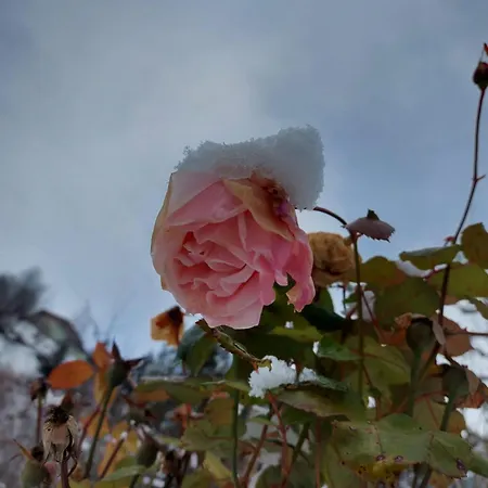 Apartment Harmonie & Balance Leogang