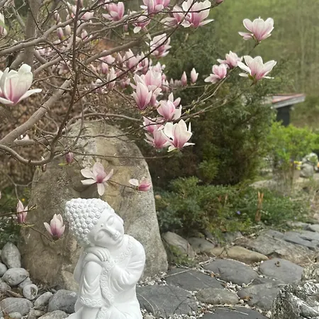 Harmonie & Balance Apartment Leogang