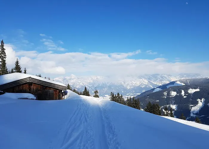 Harmonie & Balance 아파트