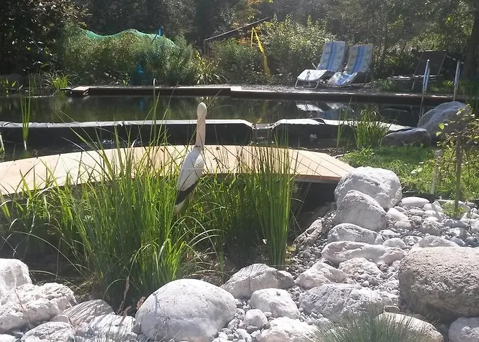 Harmonie & Balance 레오강