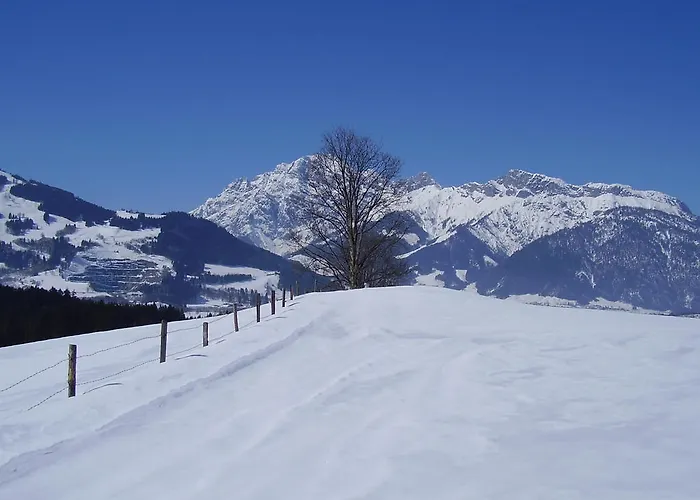 Harmonie & Balance 레오강