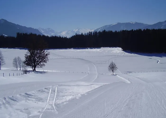 아파트 Harmonie & Balance